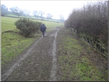 Farm track leading to Chapel Wood Farm