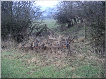 Overgrown harrow in the hedge bottom