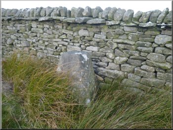 Boundary stone by our path