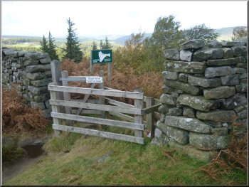 Gate into Strikes Wood at the Nidderdale Way