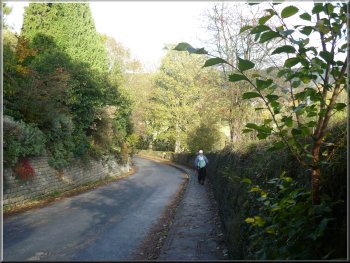 The road into Bewerley