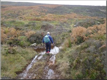 Crossing Rutmoor Beck to follow a tributary up Ramsden Head