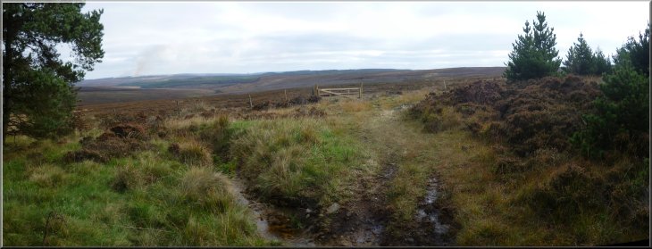 Looking back to the gate from the moor into Cropton Forest