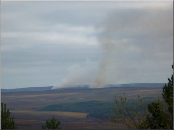 Heather burning on Wheeldale Moor