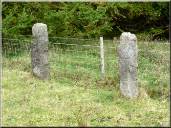 A pair of old stone gate posts