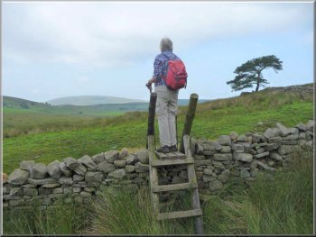 Ladder stile between Cotter and Yore House 