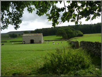 Stone barn in the field by our path