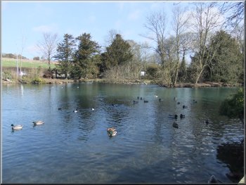 The village pond in Burton Agnes