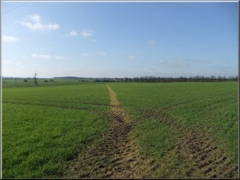Path across the fields from Burton Agnes
