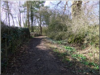 The path to Lowthorpe