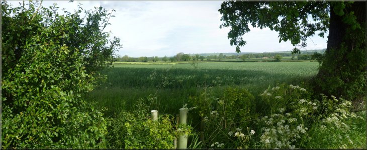 View northwest across the fields from the permissive path below Crayke