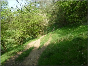 Path from Green End