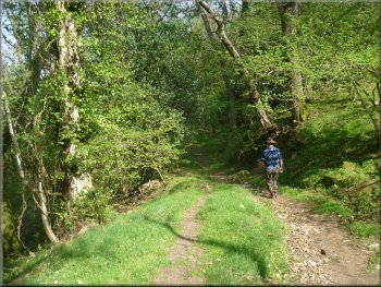 Path through Crag Cliff Wood