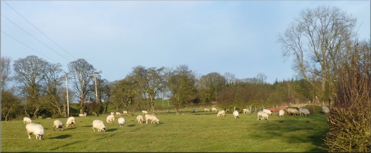 Crossing the fields from Kirkbymoorside 