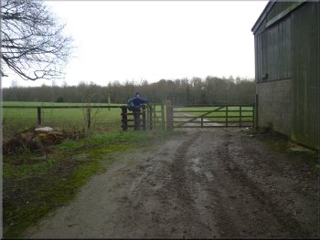 Path around Lingmoor Farm