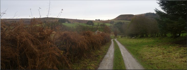 Looking back along the Gillamoor Mill access road to The Nab