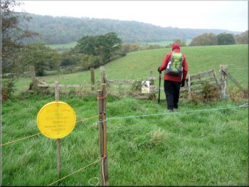 A yellow disc, a stile & a “Bull in Field” notice