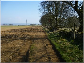 The path heading towards Dialstone farm