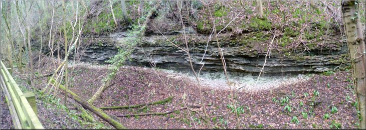 Hambleton Oolite beds in Seave Gill, undercut by the ice age torrent of glacial melt water 