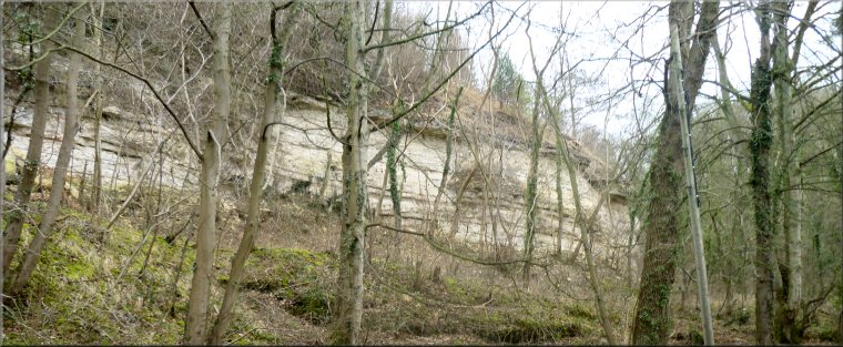 Whitestone Quarry at the foot of Seave Gill in Forge Valley near East Ayton