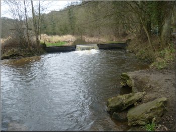 Wier on the R. Derwent at Seave Gill