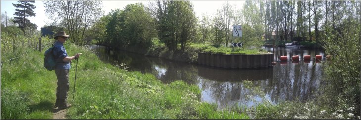 Milby Cut on the left & the River Ure heading for the Boroughbridge weir on the right