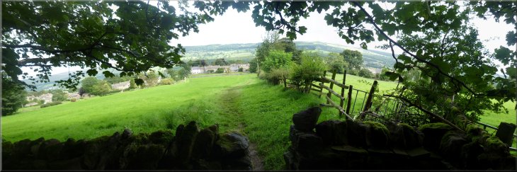 Looking back down the slope towards West Witton from the edge of the wood
