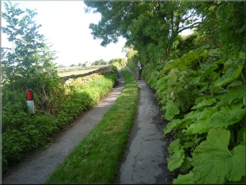 Following the farm access road towards West Witton 