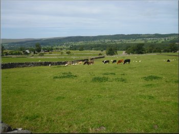 Looking across Wensleydale from the farm road