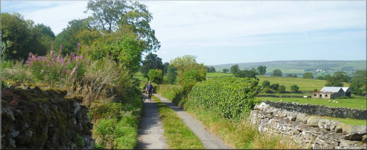 Approaching West Witton along the Wanlass farm access road at the end of the walk