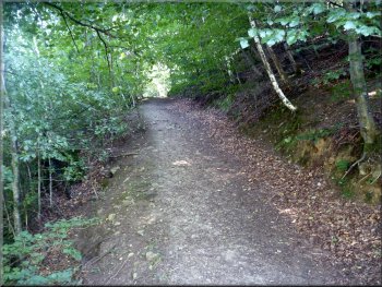 broad path back up the hillside 