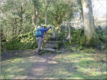 Stone steps up to a squeeze stile
