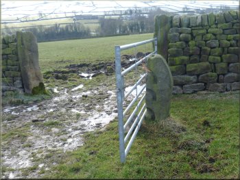 Poles slotted into this stone and it's pair to make a gate