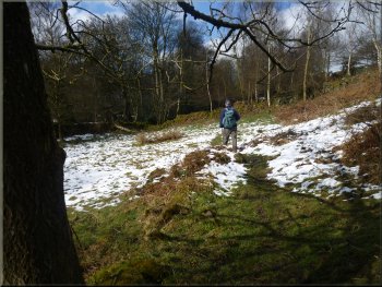Woodland path above Padside Beck