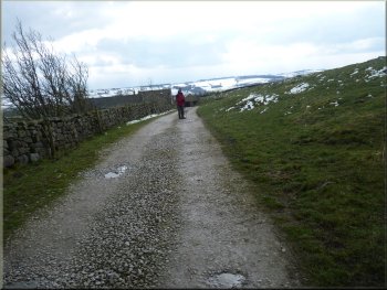 Access road towards the Quaker Burial Ground