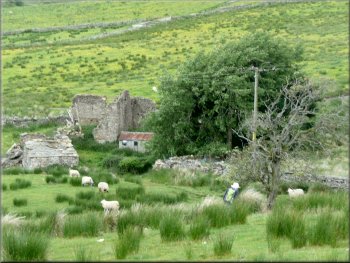 The ruined farm at Rowantree
