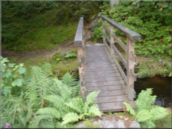 Footbridge over the outlet stream from Low Dam
