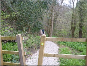 The footpath through Doctors Wood