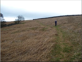 Climbing up the moor to Hawthorn Farm