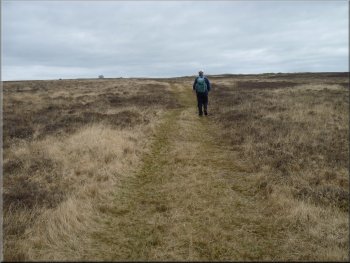 Path across the moor from Hawthorn Farm