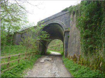 Bridge on the old railway taking the Monsal Trail over our track