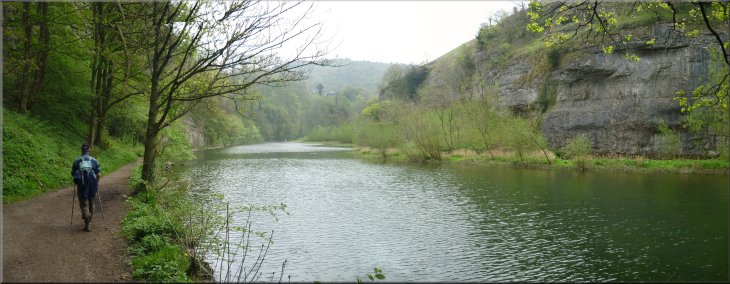 Most of the way between Litton Mill & Cressbrook the River Wye is bordered by limestone cliffs
