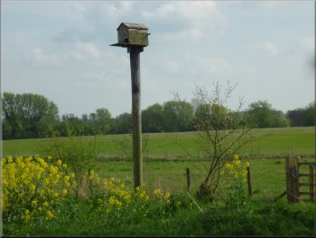 Owl nesting box - one of several dotted around the nature reserve