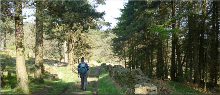 Following the path above the Errwood Hall car park and picnic area