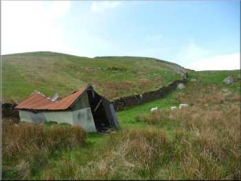 Ruined shed