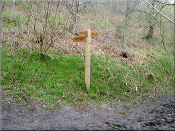 Sign post where the path forks