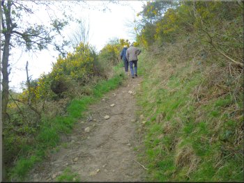 Narrow path up the steep hillside