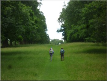 Following the grassy track through the deer park