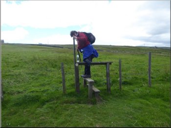 Stile at the top of a marshy bank