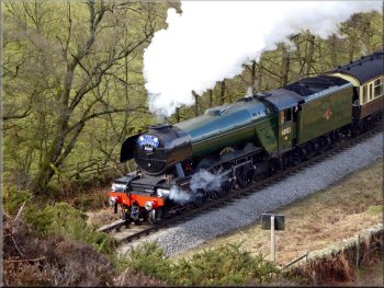 Flying Scotsman at Darnholm hauling the 12.30 from Grosmont